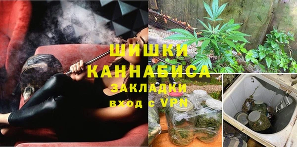 дмт Новокубанск