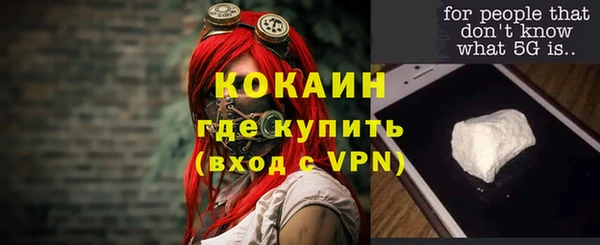 спайс Богданович