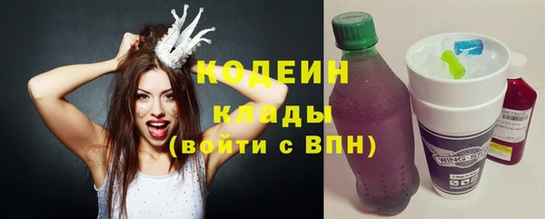 хмурый Богородицк