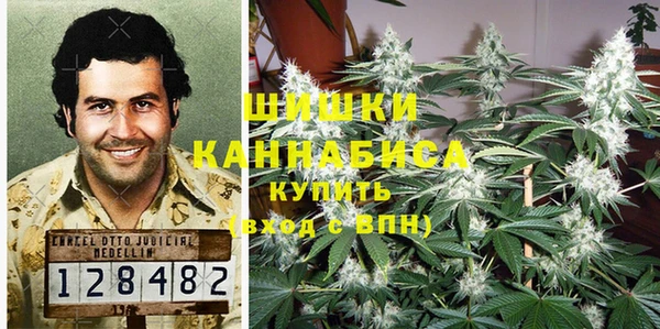 спайс Богданович