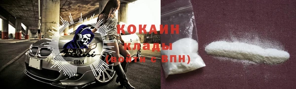 спайс Богданович