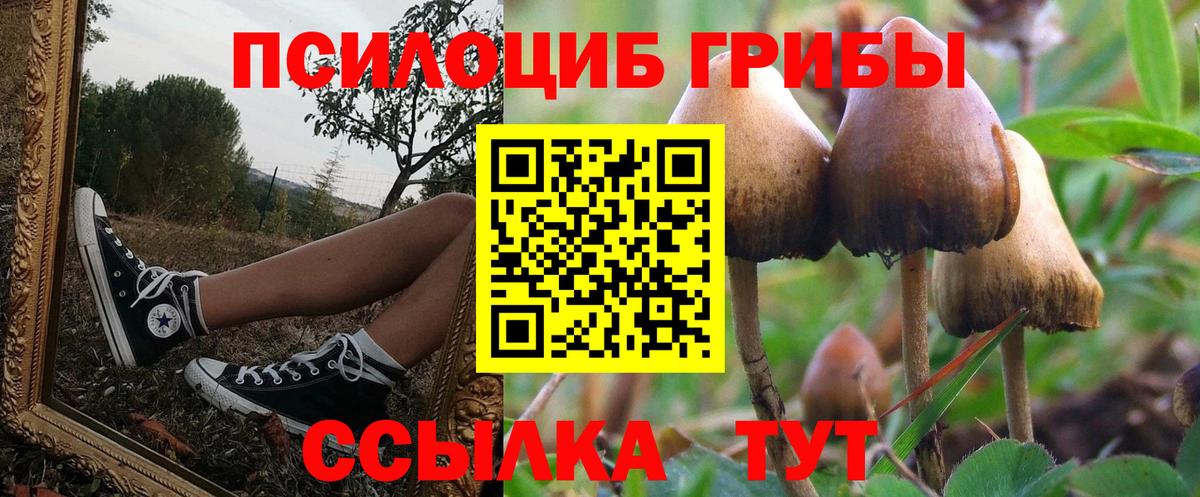 Северск  Псилоцибиновые грибы MAGIC MUSHROOMS  Вход с VPN 